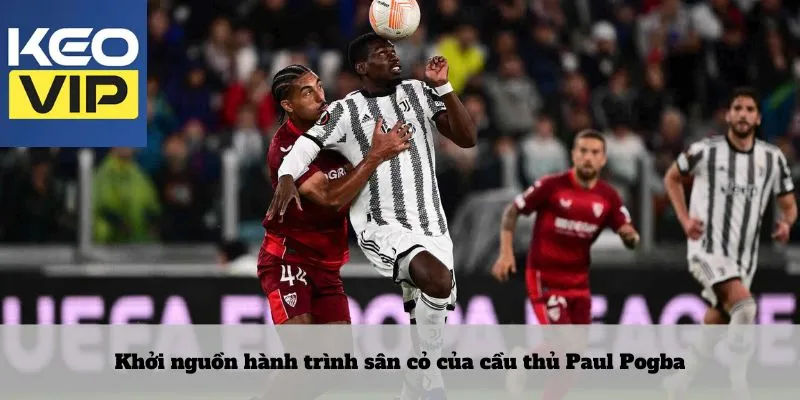 Cầu thủ Paul Pogba – Biểu tượng của sự hỗn loạn có tổ chức 2 Khởi nguồn hành trình sân cỏ của cầu thủ Paul Pogba