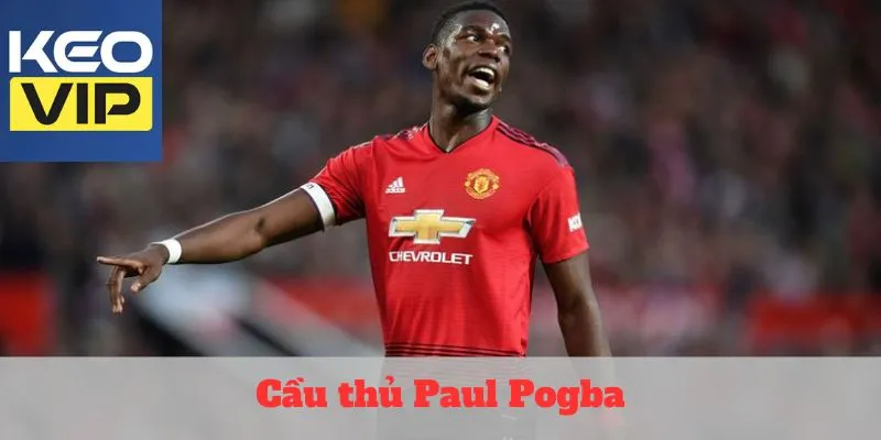 Cầu thủ Paul Pogba – Biểu tượng của sự hỗn loạn có tổ chức 1 cầu thủ Paul Pogba