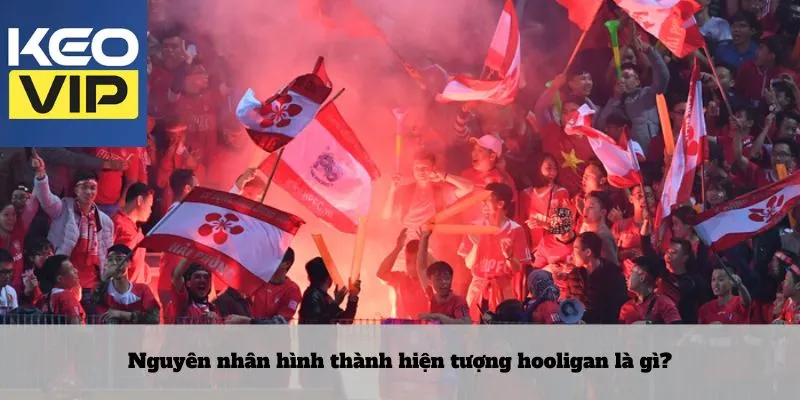 Hooligan là gì? Những cổ động viên quá khích trong bóng đá 3 Nguyên nhân hình thành hiện tượng hooligan là gì?