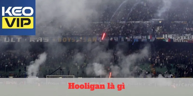 Hooligan là gì? Những cổ động viên quá khích trong bóng đá 1 hooligan là gì