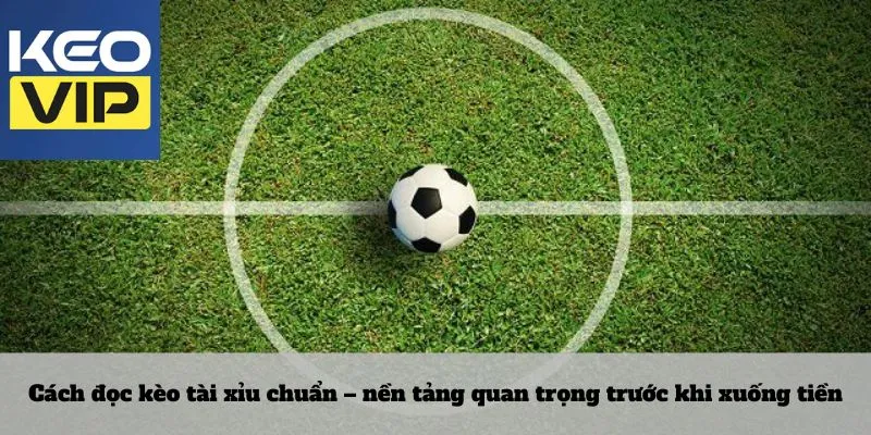 Kèo tài xỉu – Lối chơi không dành cho người thiếu kiên nhẫn 3 Cách đọc kèo tài xỉu chuẩn – nền tảng quan trọng trước khi xuống tiền