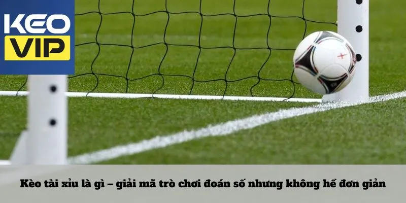 Kèo tài xỉu – Lối chơi không dành cho người thiếu kiên nhẫn 2 Kèo tài xỉu là gì – giải mã trò chơi đoán số nhưng không hề đơn giản