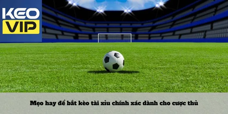 Kèo tài xỉu – Lối chơi không dành cho người thiếu kiên nhẫn 4 Mẹo hay để bắt kèo tài xỉu chính xác dành cho cược thủ