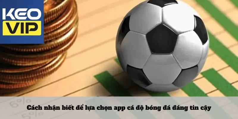 Lựa chọn app cá độ bóng đá hết sức chuẩn xác và chất lượng 3 Cách nhận biết để lựa chọn app cá độ bóng đá đáng tin cậy