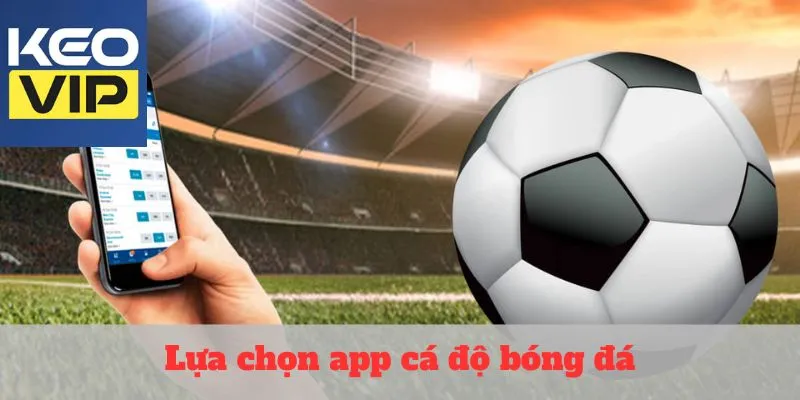 Lựa chọn app cá độ bóng đá hết sức chuẩn xác và chất lượng 1 lựa chọn app cá độ bóng đá