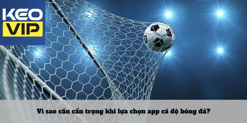 Lựa chọn app cá độ bóng đá hết sức chuẩn xác và chất lượng 2 Vì sao cần cẩn trọng khi lựa chọn app cá độ bóng đá?