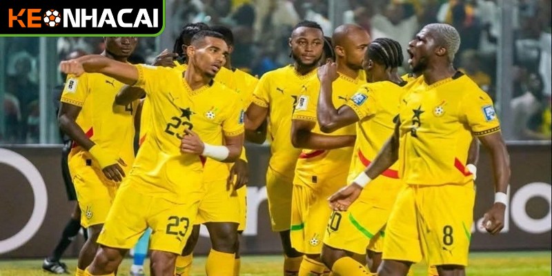 Danh Sách Cầu Thủ Đội Tuyển Nam Phi Tại World Cup 2026 4 Sự chuẩn bị của Nam Phi cho giải đấu World Cup 2026
